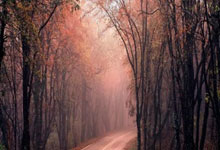 火箭晋级总决赛，哈登受伤成最大隐患