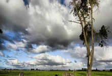 曼联遭遇硬仗，拼尽全力取胜