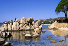 亚洲篮球名将争霸：巨星球队技压劲旅